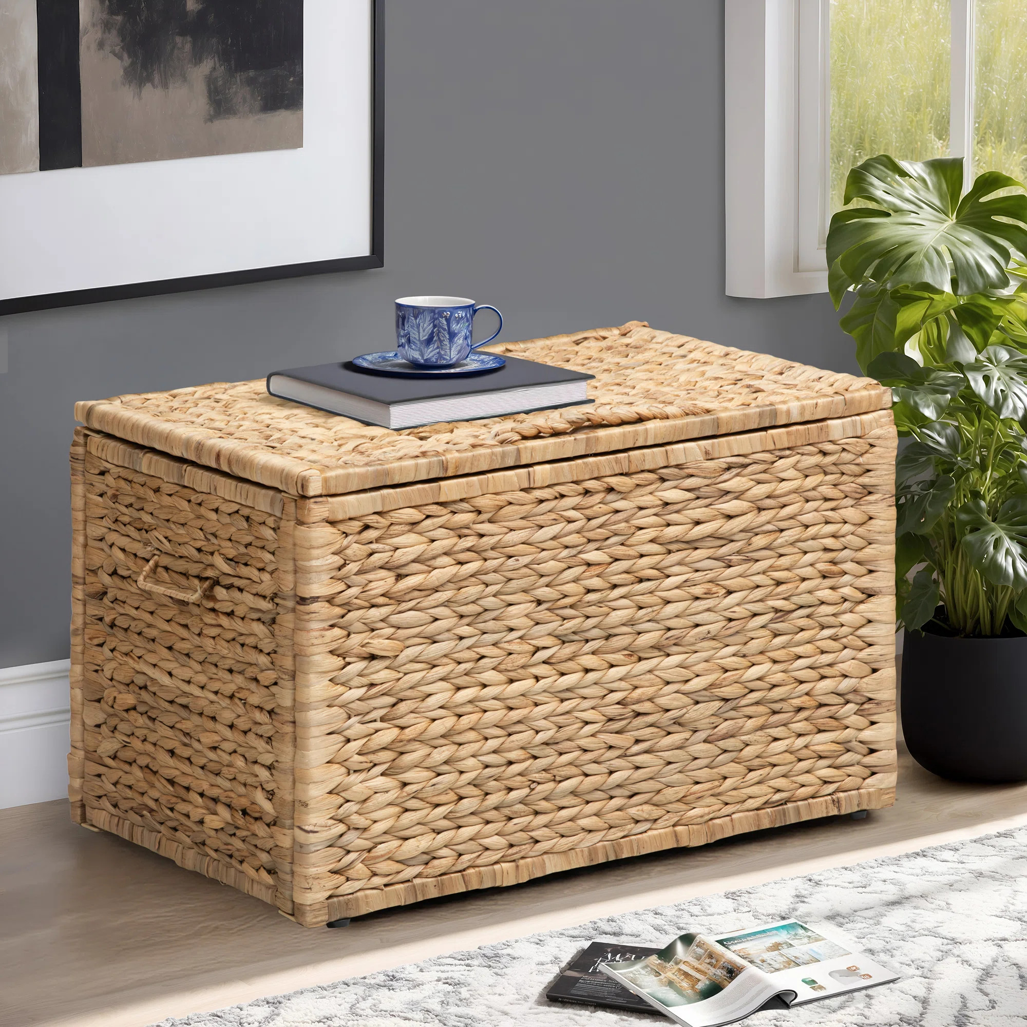 Ved Heavy-duty Water Hyacinth Wicker Storage Trunk with Metal Frame | Wayfair North America