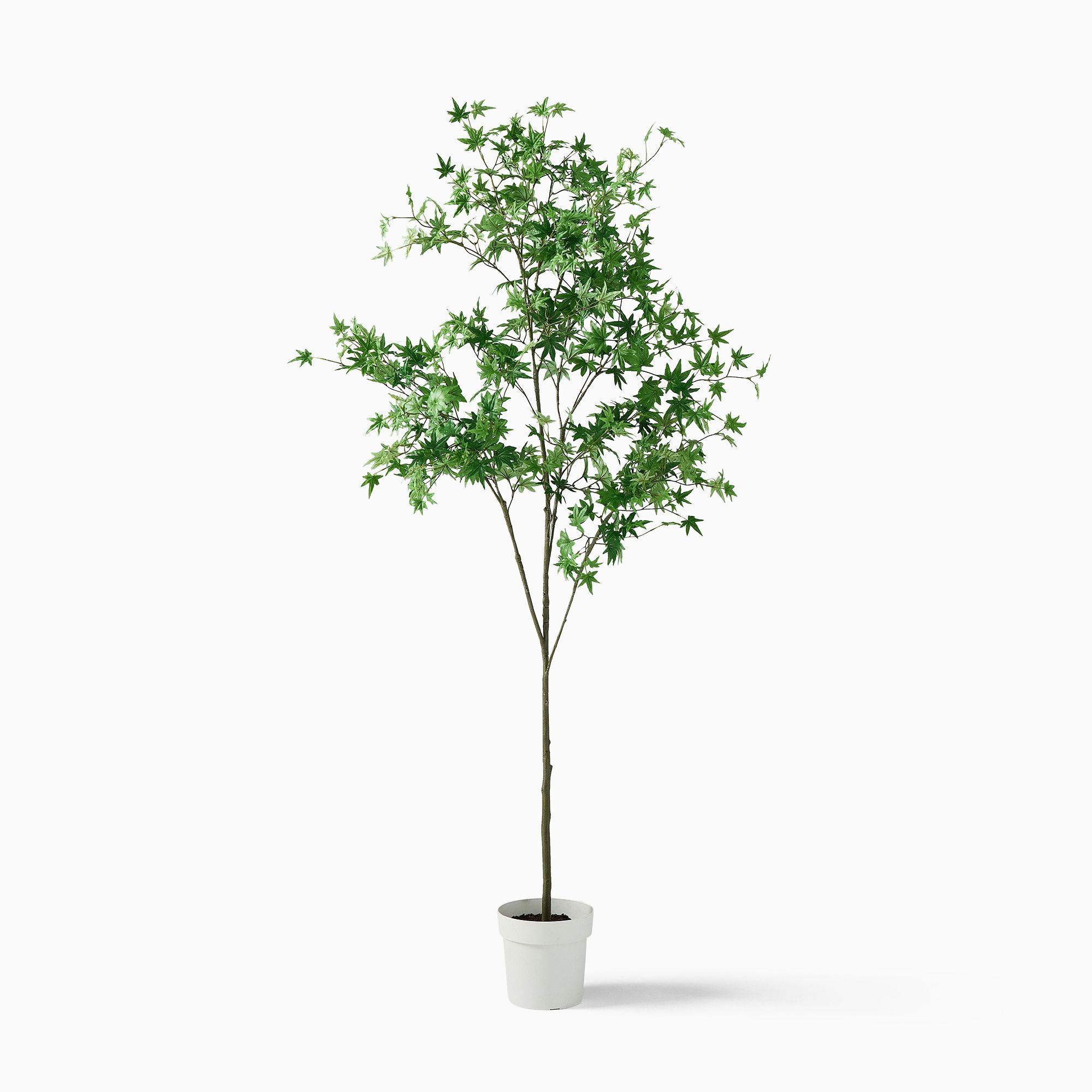 Faux Maple Potted Tree | West Elm (US)