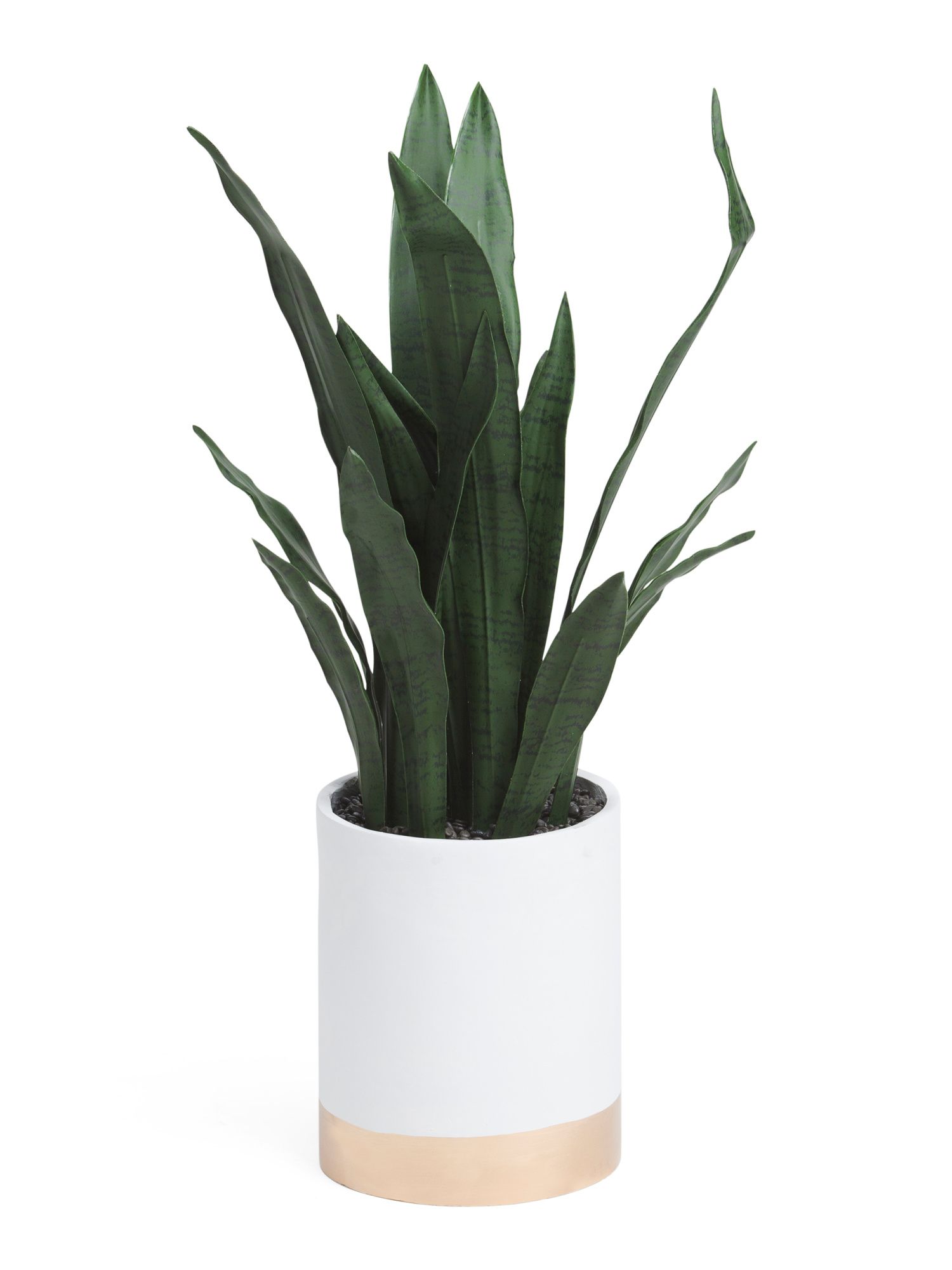 36in Snake Plant In Wooden Stand | TJ Maxx