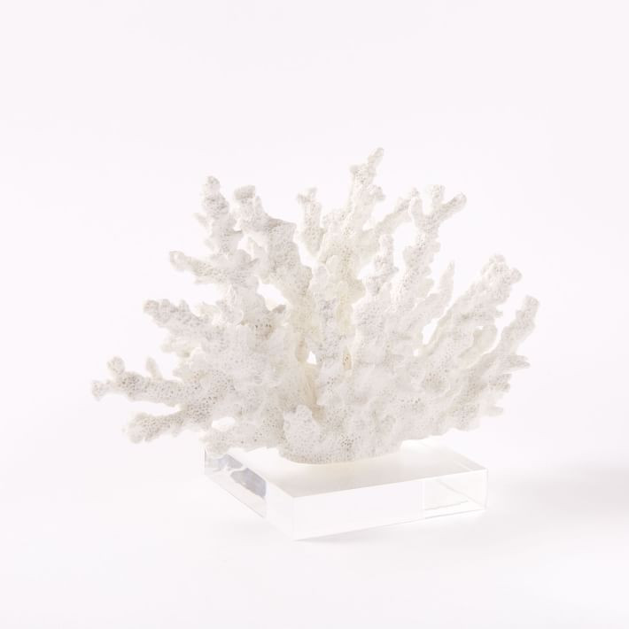 Coral Objects | West Elm (US)