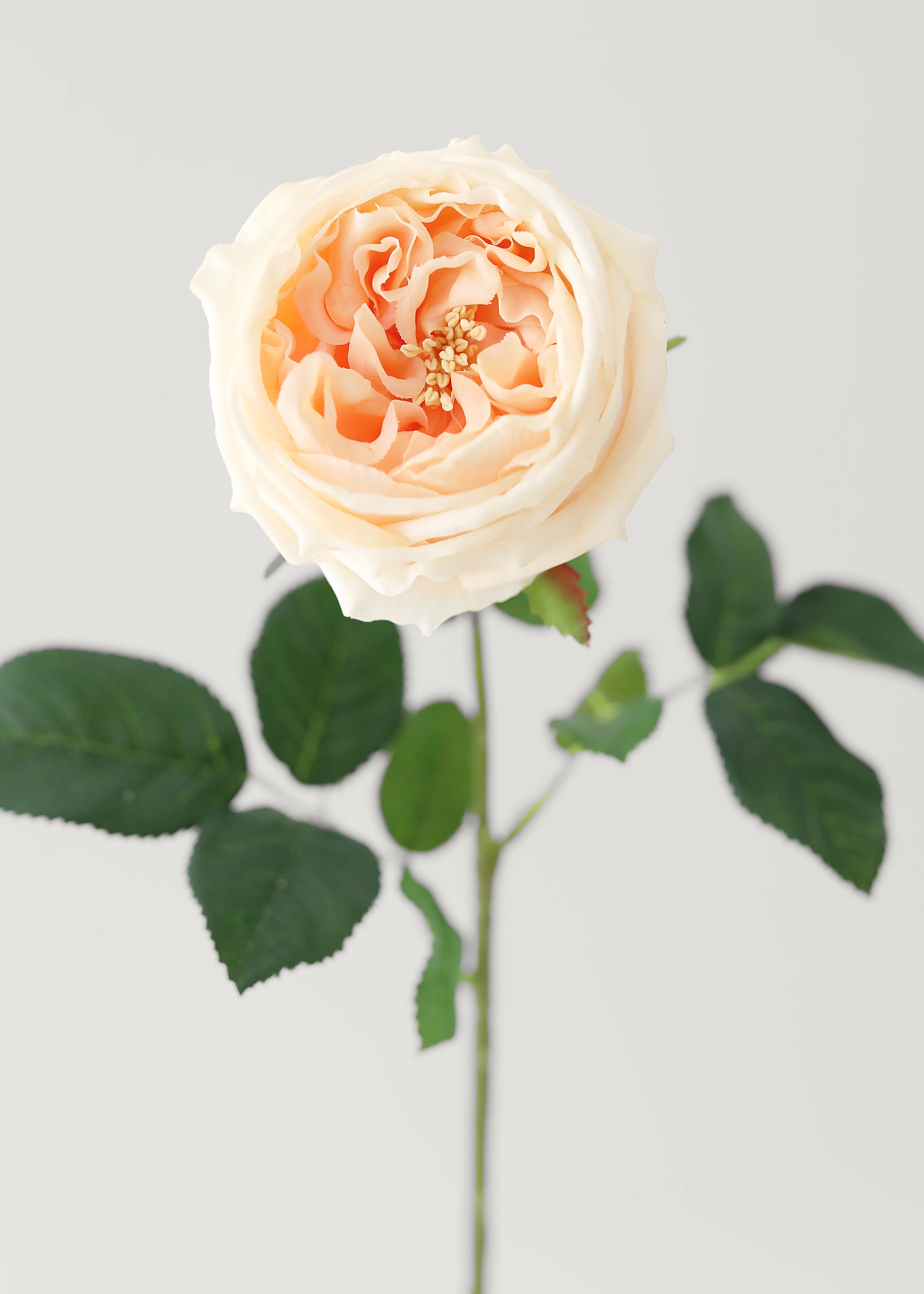 Real Touch Rose in Peach Pink | Best Faux Flowers | Afloral | Afloral