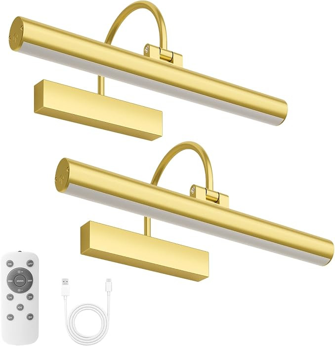 Bridika Picture Light for Wall with Remote, Rechargeable Battery Operated Picture Light, 3 Color ... | Amazon (US)