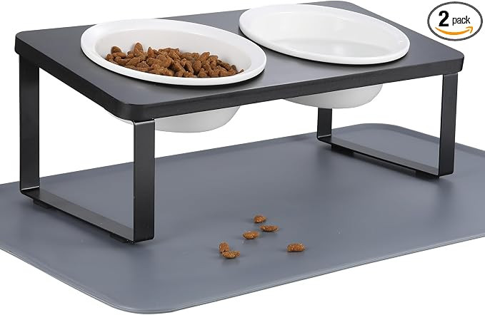 Elevated Whisker Friendly Cat Bowls, 15 Tilted Stand Anti Vomiting Raised Dishes for Food and Wat... | Amazon (US)