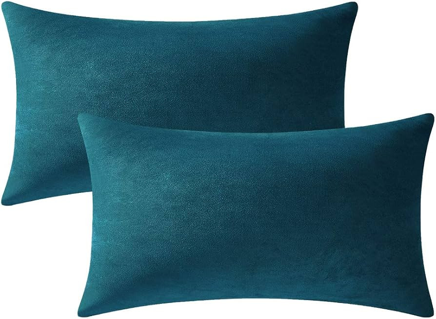 DEZENE Lumbar Pillow Covers 12x20 Teal: Pack of 2 Cozy Soft Velvet Rectangular Modern Luxury Deco... | Amazon (US)