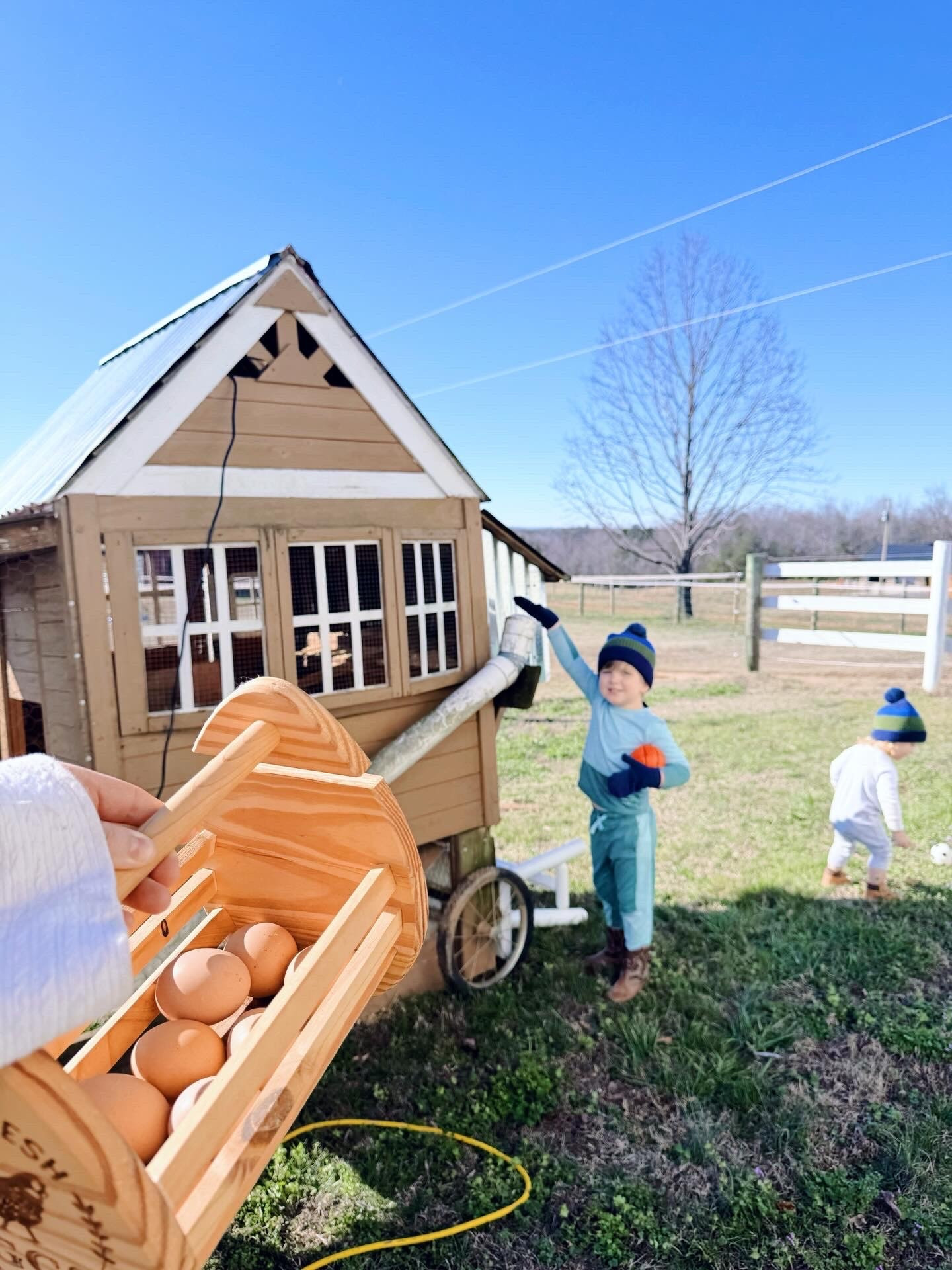 A little photo diary 🫶🏽📔 of moving our chickens 🐓 home sweet home 🏡 to the farm 🌾 and a glimpse into our country life 🥰 these days!! 🚜🧺🌳🪵🛠️🐔🥚 #welcomehomechickens #lifeonthefarm 

Oh how I’ve dreamed and dreamed of our mornings looking like this 🥹💭🫶🏽🐓🧺 - and now here we are… spending our mornings ☕️🌞 roaming around the land 🌳🌿 and barn 🌾 collecting farm-fresh eggs 🥚 from our ladies 🐔 ON THE FARM! ✨ Thank you, Jesus!!! 💫 #farmfresheggs #themabryfarm #raisingchickens
