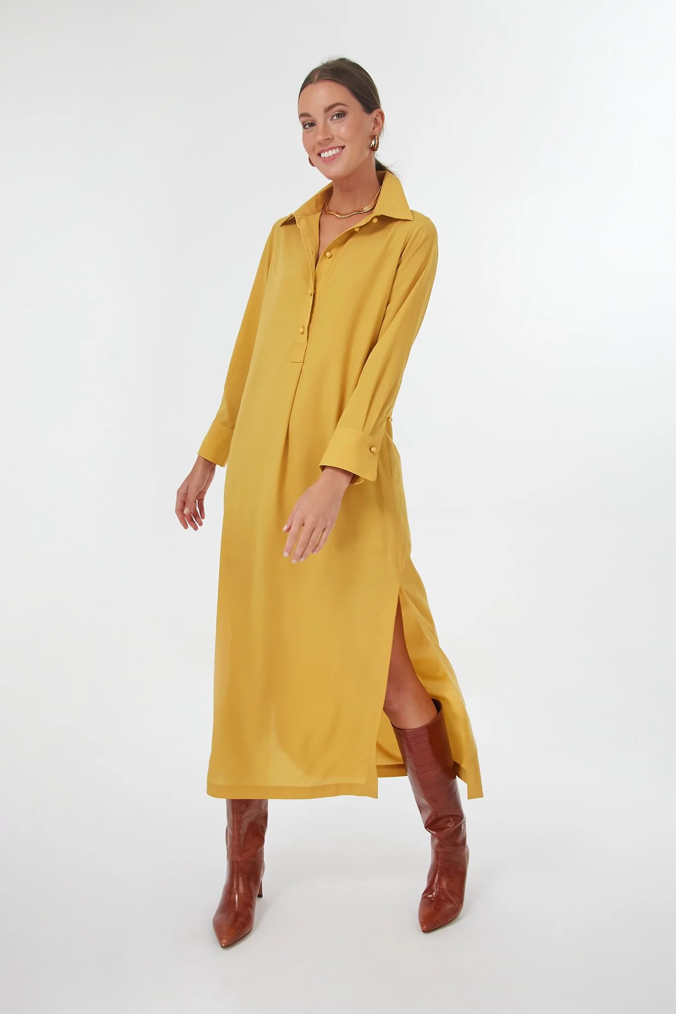 Golden Radley Dress | Tuckernuck (US)