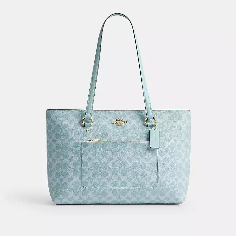 $179 | Coach (US)