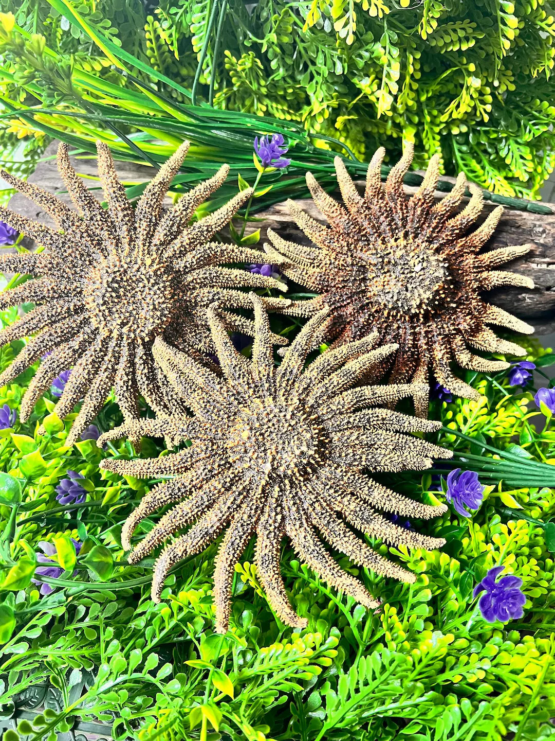 In 10 carts | Etsy (US)