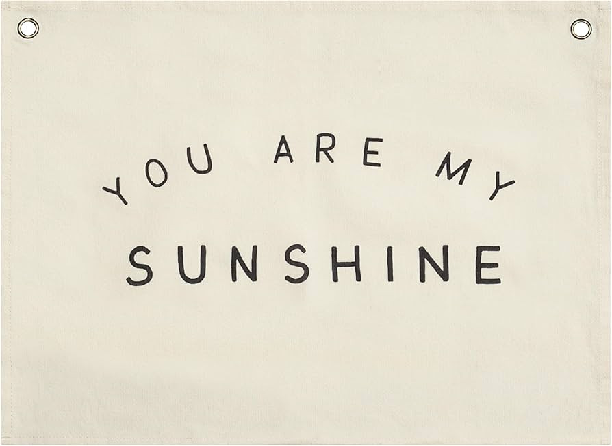 Lyla & Sage Play Co Children's Canvas Banner - Premium Playroom, Bedroom and Nursery Wall Art Dec... | Amazon (US)