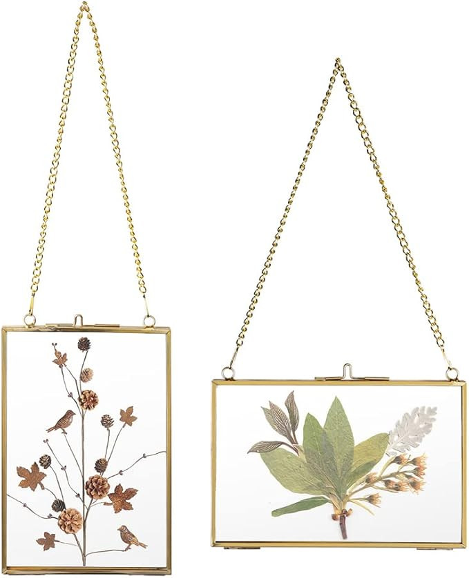 JUXYES Set of 2 Brass Wall Hanging Photo Frame, Golden Glass Hanging Picture Artwork Display Fram... | Amazon (US)