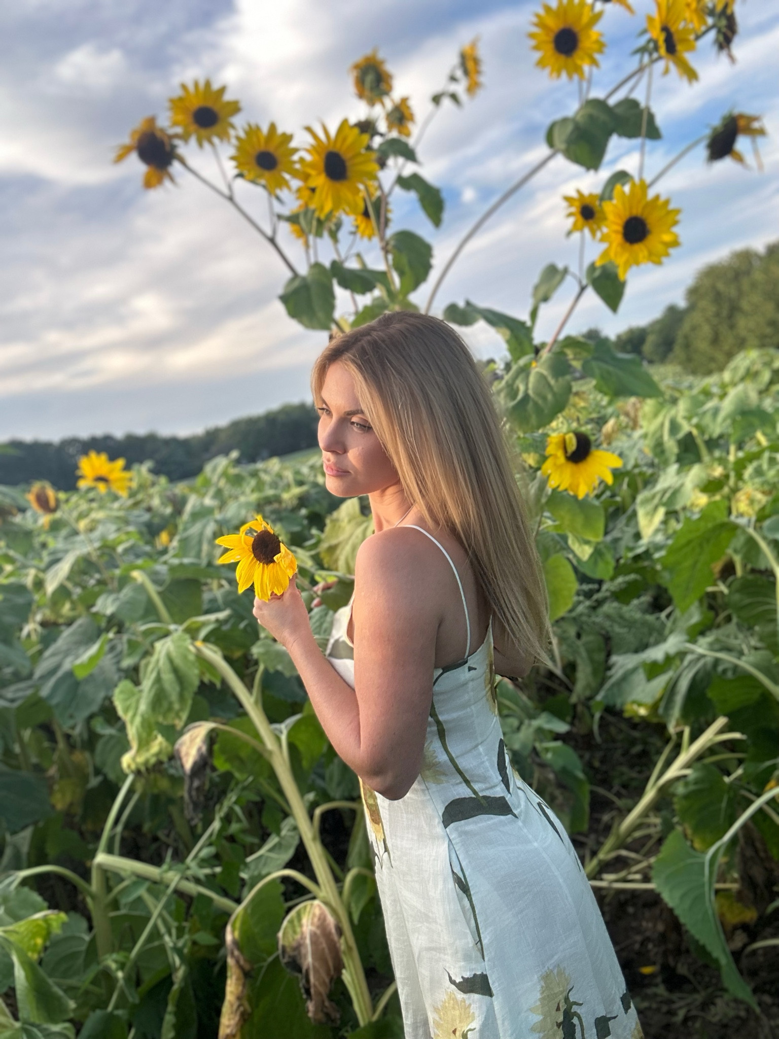Sunflower dress

#LTKsalealert #LTKwedding #LTKSeasonal