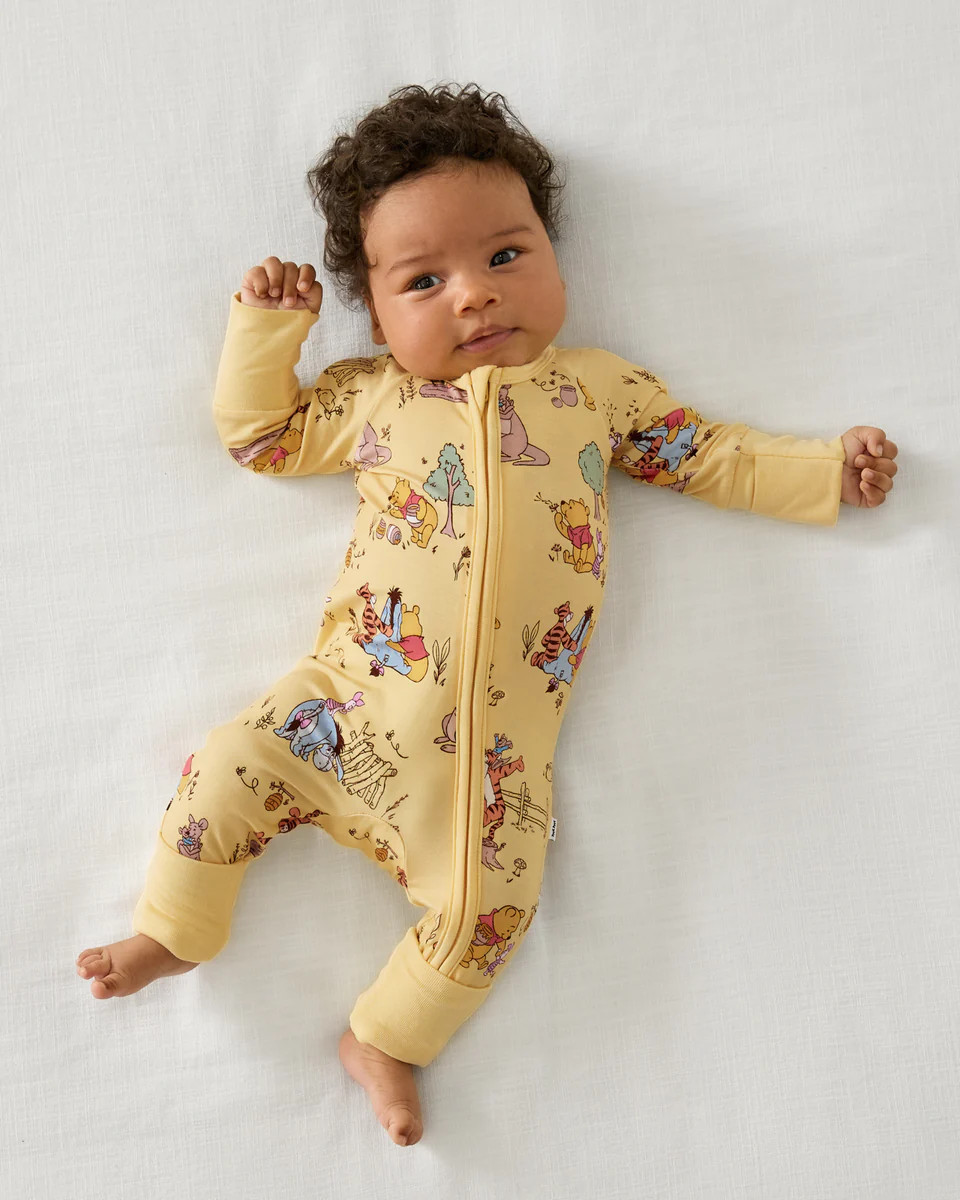 Disney Playtime With Pooh Zippy | Little Sleepies