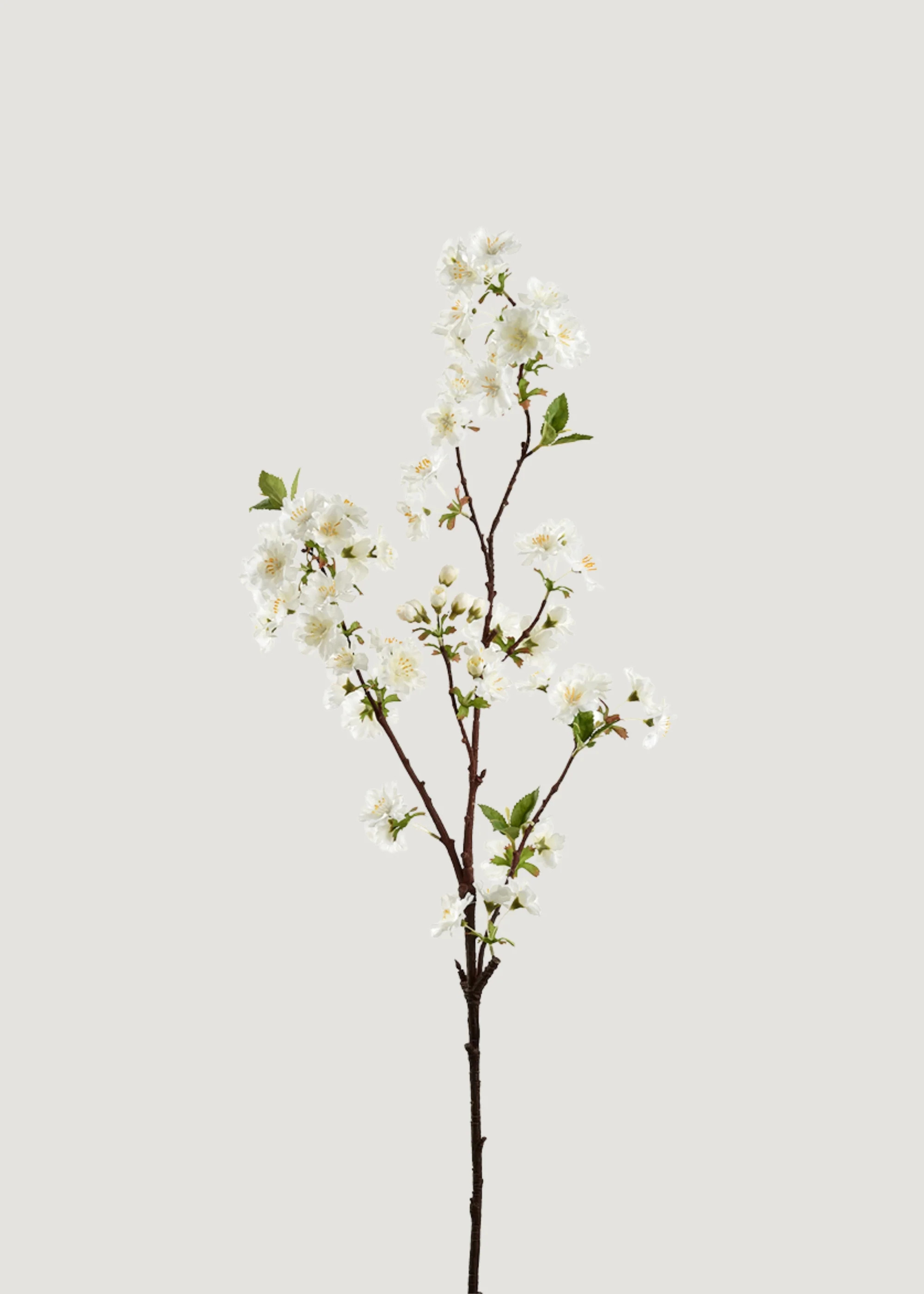 Cherry Blossom in Cream White | Artificial Spring Flowers | Afloral | Afloral
