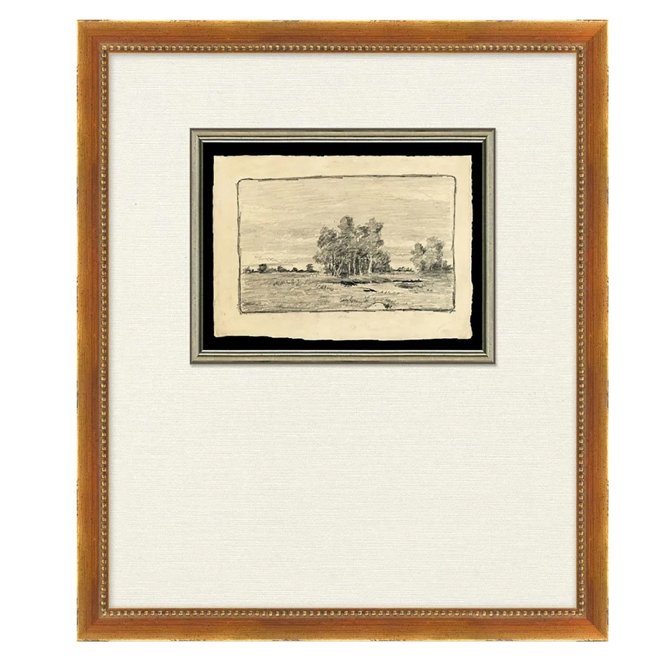 Going to Explore II | Magnolia | Magnolia