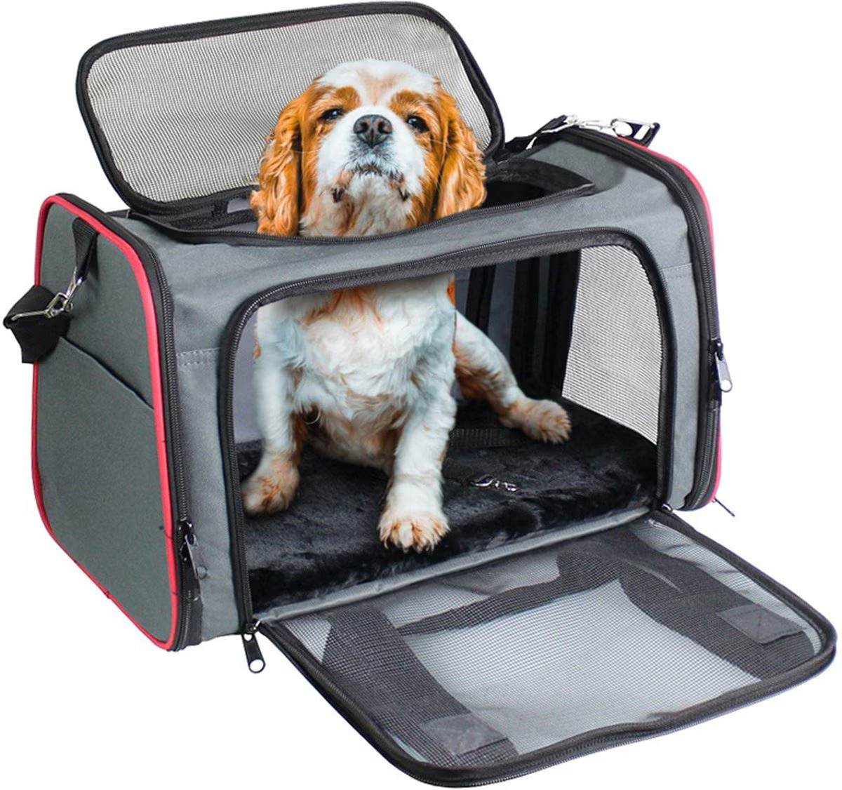Jespet Soft-Sided Airline-Approved Travel Dog & Cat Carrier, Gray/Red, Medium/Large | Chewy