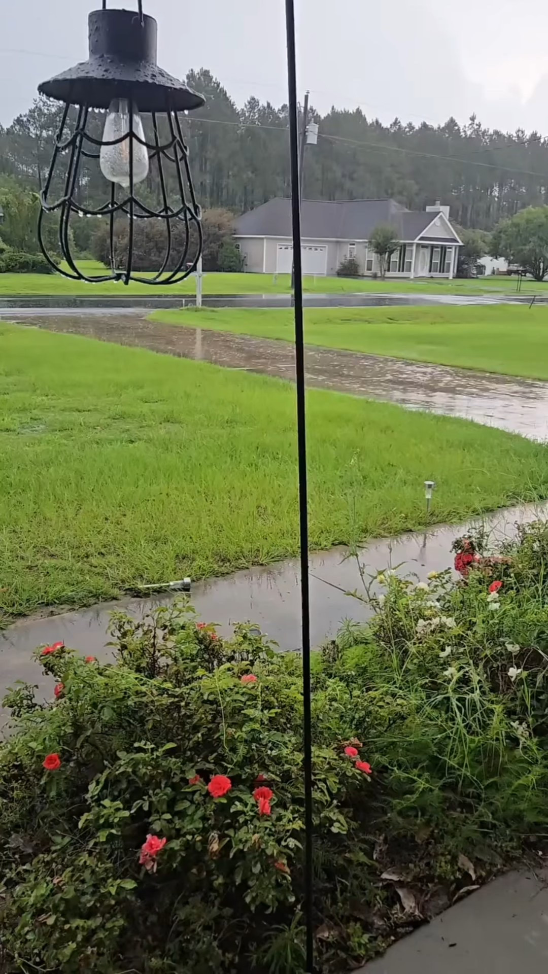 I actually minored in art in college — but I avoided watercolor like the plague. 😅 It always felt a little too unpredictable for my type A brain.

But something about this season of life has me craving softness, even in the creative process. So on this rainy Savannah day, I pulled out my little watercolor set, made some tea, and let myself just play.

No pressure to be good at it. No end goal. Just romanticizing real life one brushstroke at a time — and honestly? It’s kind of my favorite new rainy day ritual. 

#CoastalGrandmother #SavannahVibes #RomanticizeYourLife #SoftLifeStrongWoman #LeisureIsTheNewLuxury #SlowLiving #PorchLightEnergy #WatercolorForBeginners #CoastalClubVibes #CreativeRituals

#LTKselfcare #LTKFindsUnder50 #LTKdayinmylife