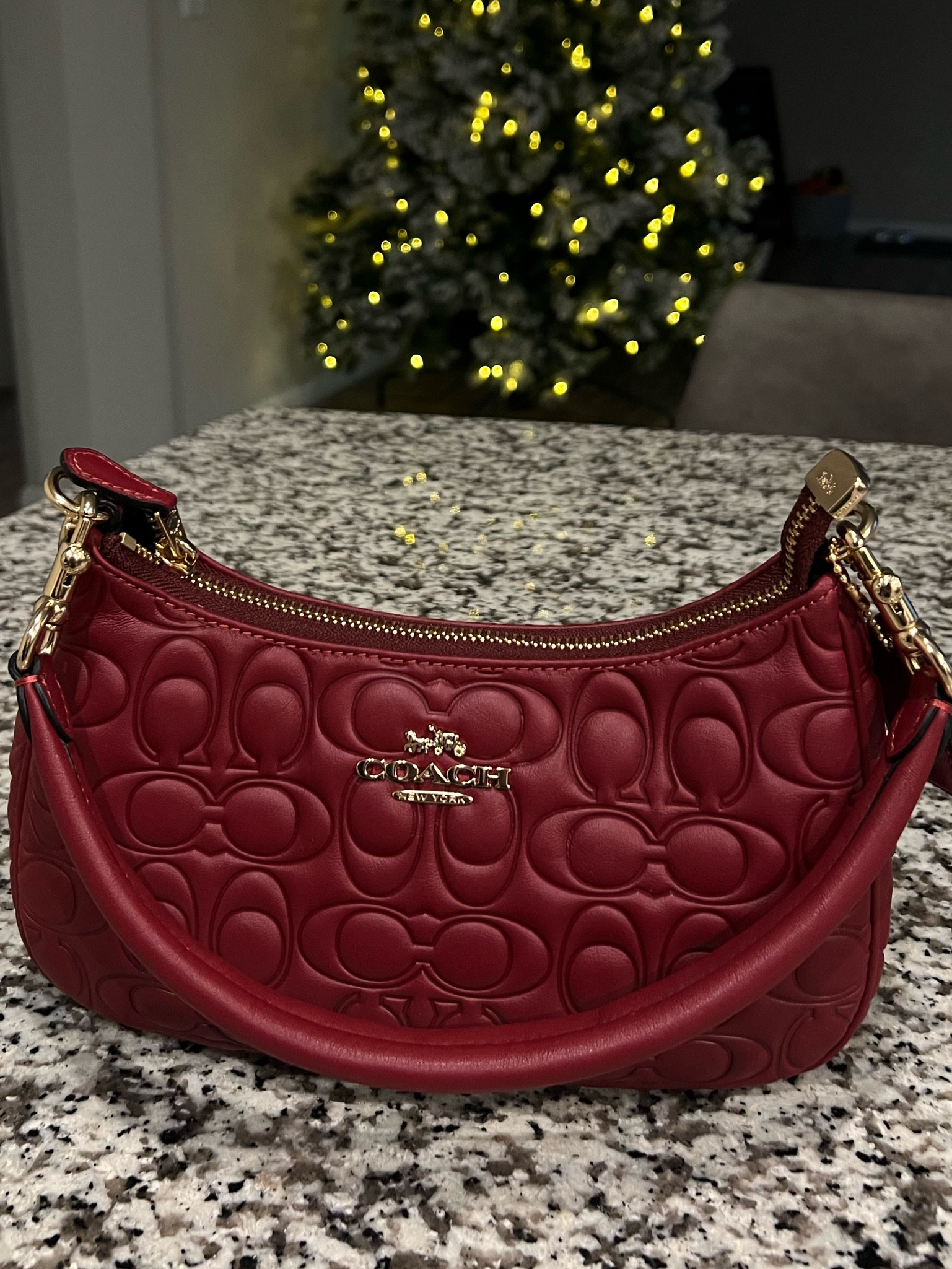 Red Teri Coach Shoulder Bag🍒

#LTKstyletip #LTKitbag #LTKsalealert