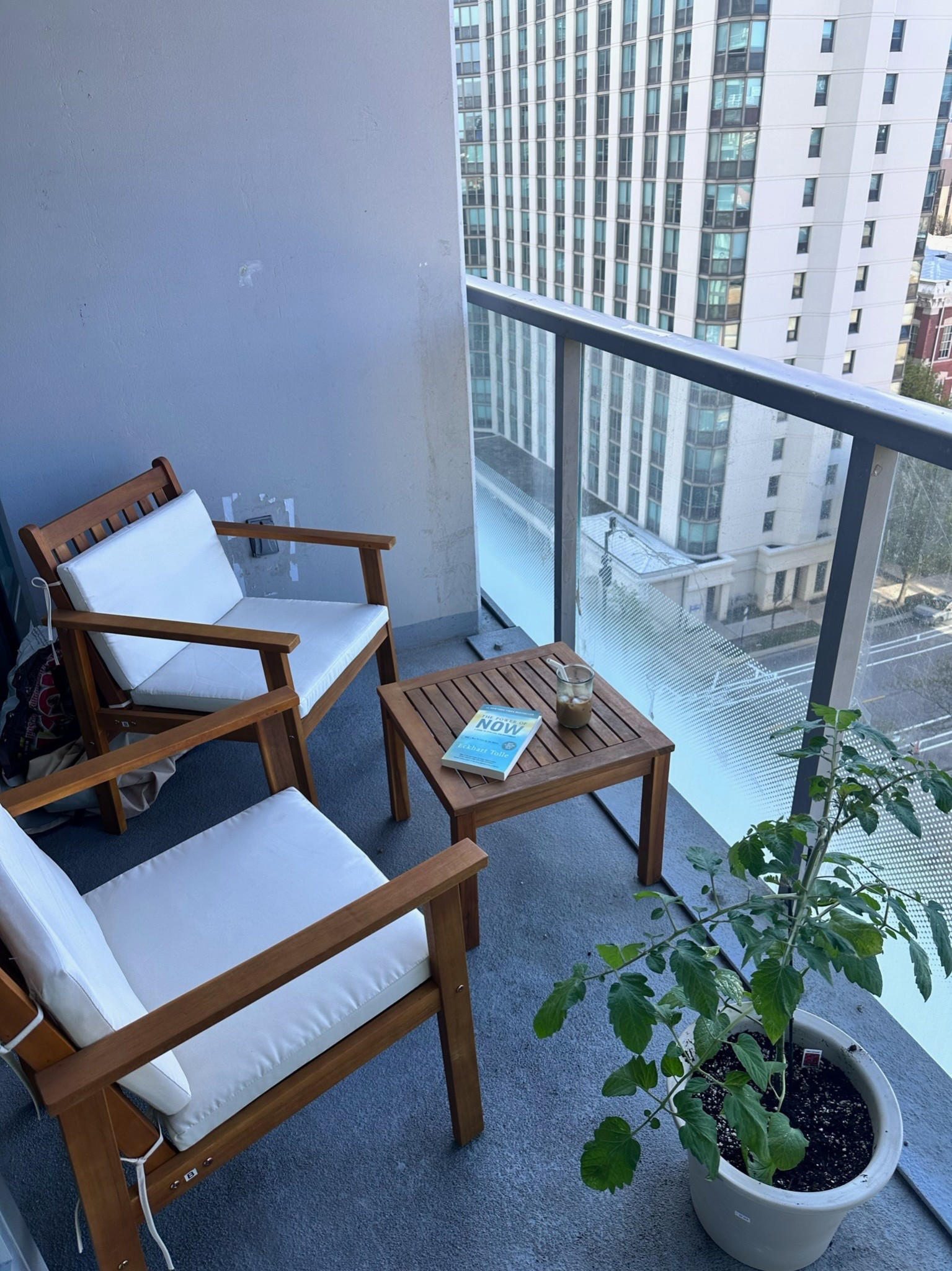 My new favorite WFH spot 🪴 #Gardening #Plant #Garden #Vegan #VeganLifeStyle #BreakYourBudget

#LTKU #LTKSeasonal #LTKHome