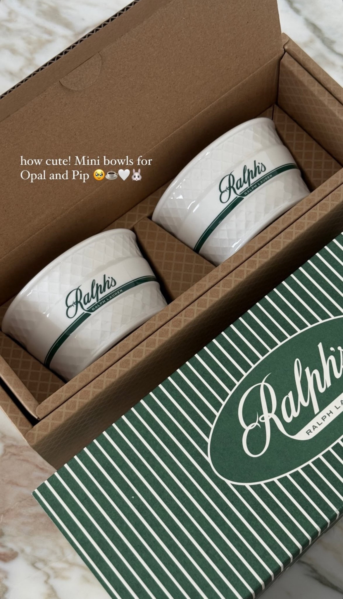 New cute Ralph Lauren bowls for my little bunny rabbits 🤍🐰

#LTKhome