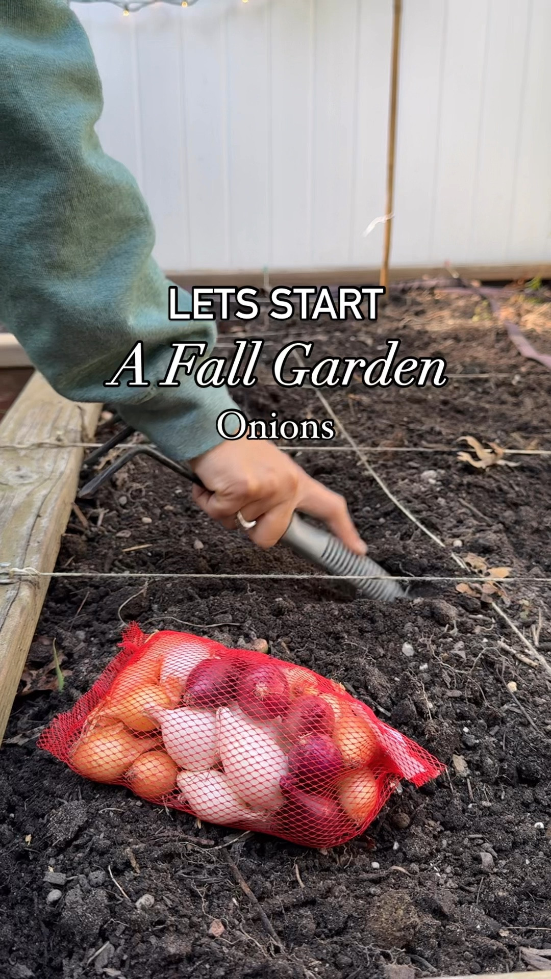 Plant now for a spring harvest!