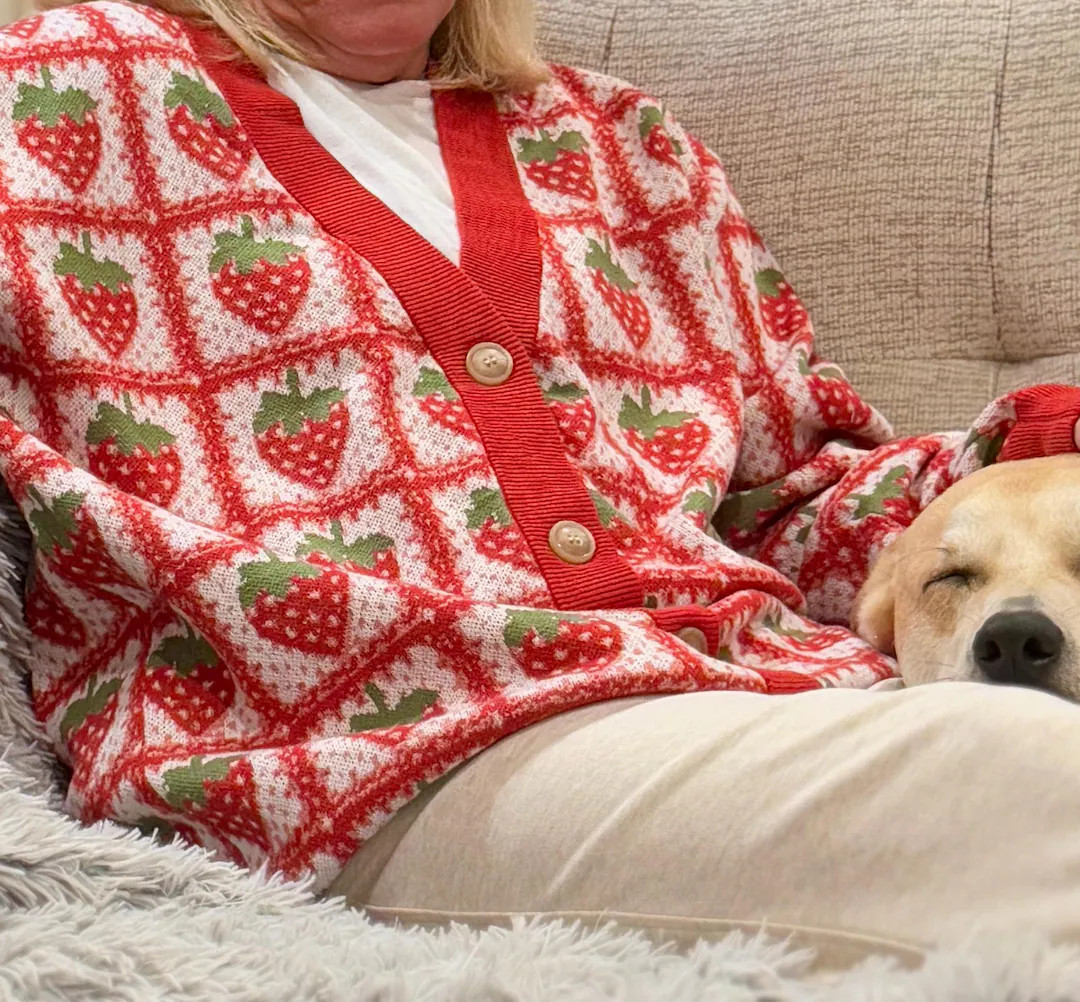 STRAWBERRY CARDIGAN Sweater, Granny Square Cozy Cardigan Button Up Cardi, Trendy Cottagecore Knit... | Etsy (US)