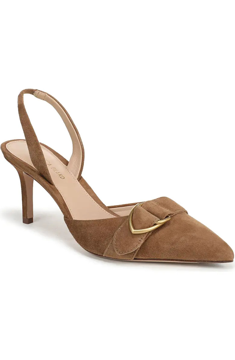 Loralyn Slingback Pointed Toe Pump (Women) | Nordstrom