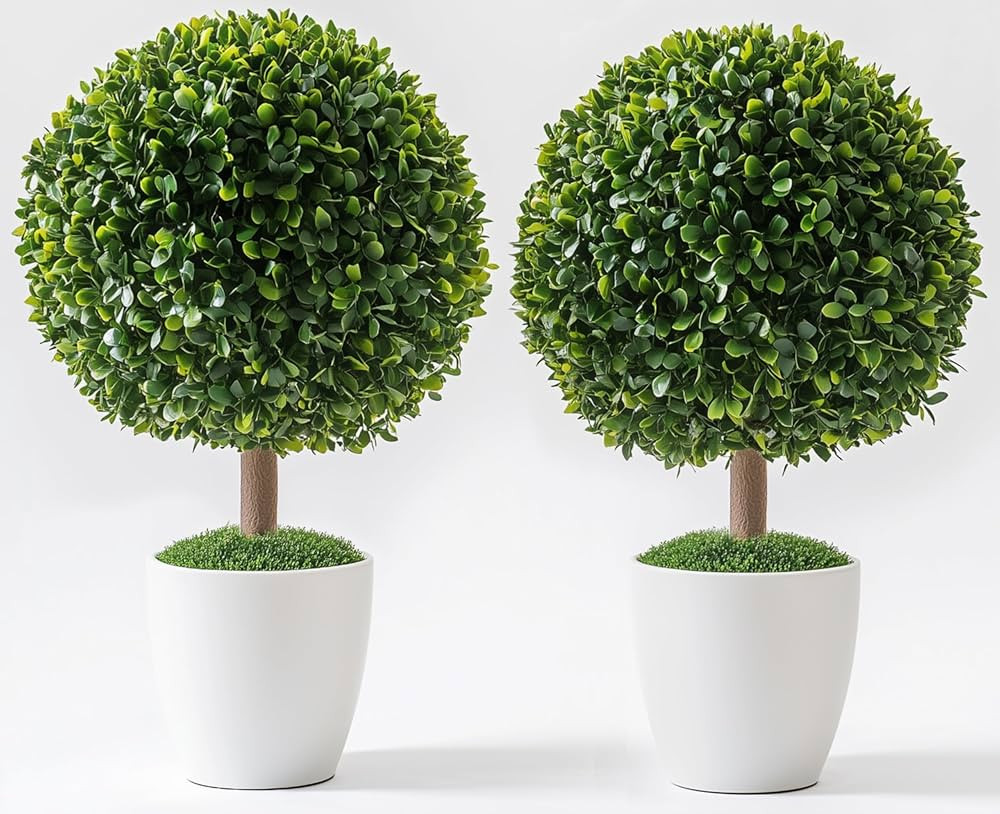 Artificial Plants - Set of 2 Topiary Trees – 24” High Pre-Potted Boxwood Trees - Artificial P... | Amazon (US)