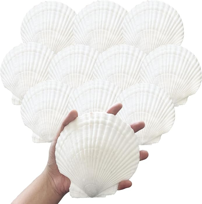 10PCS 4-5 Inch Large Sea Shells White Scallop Shells for DIY Painting Baking Cooking Serving Food... | Amazon (US)