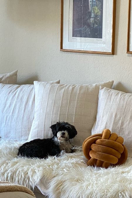 The cutest accessory, well after my doggie Stella. This knot pillow adds a fun and chic touch to any living room.

#LTKfindsunder50 #LTKhome #LTKover40