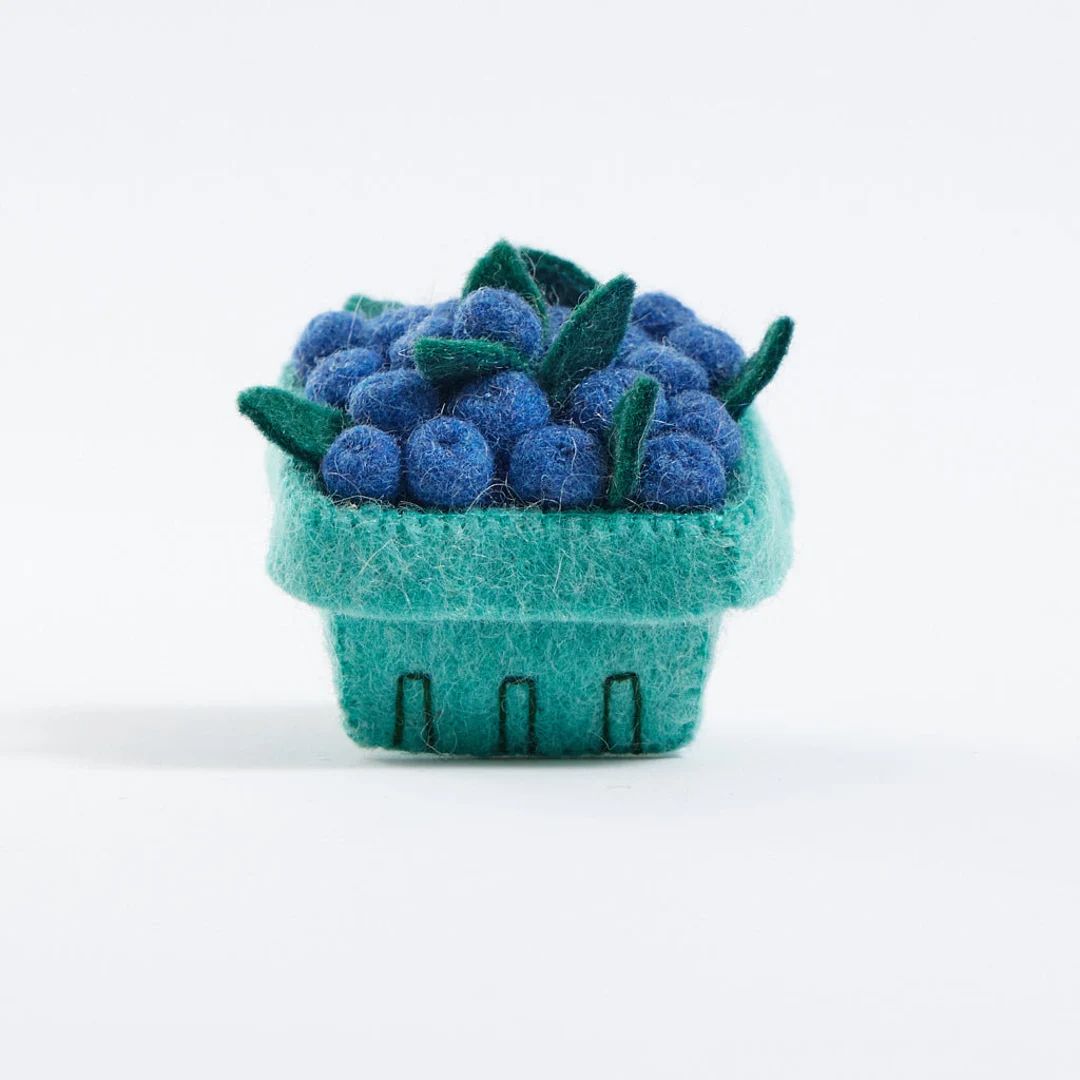 Pick Your Own Blueberry Basket Hand Felted Fruit Box - Etsy | Etsy (US)