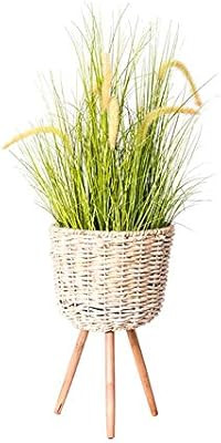 TSY Wicker Plant Stand for Indoors Mid-Century Modern Plant Stand Handmade Planter Stand Wood Flo... | Amazon (US)