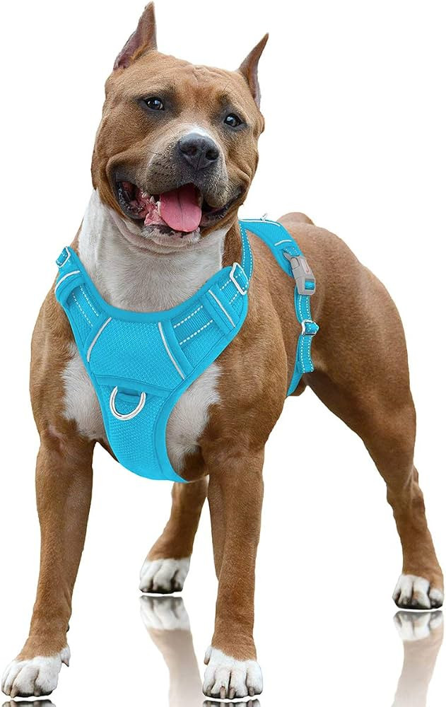 BARKBAY No Pull Dog Harness Large Step in Reflective Dog Harness with Front Clip and Easy Control... | Amazon (US)