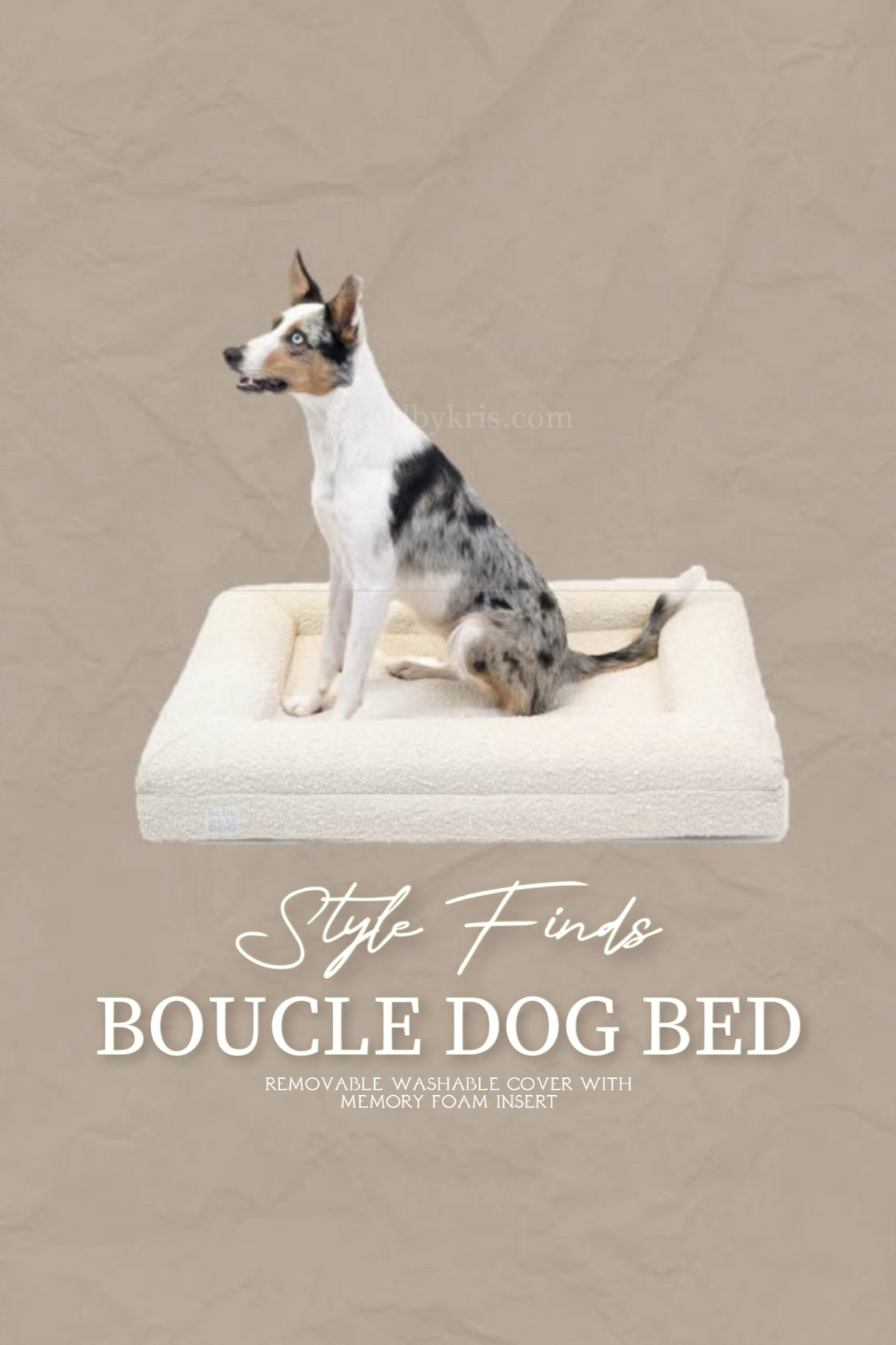 Most stylish dog bed on the market! ✨

#LTKstyletip #LTKhome #LTKfamily