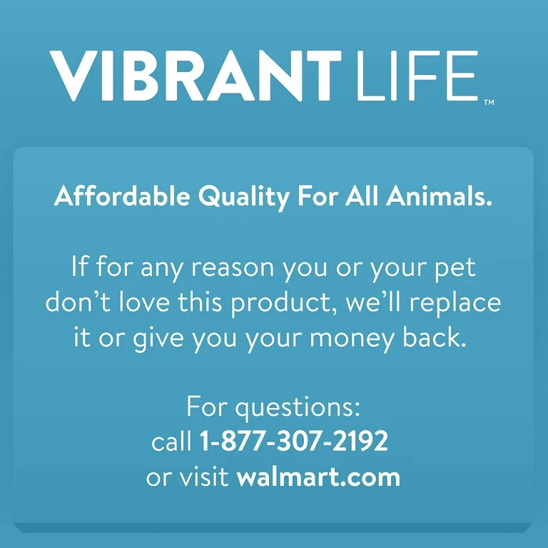 Vibrant Life Reflective Polyester Adjustable Dog Collar, Red, Small | Walmart (US)
