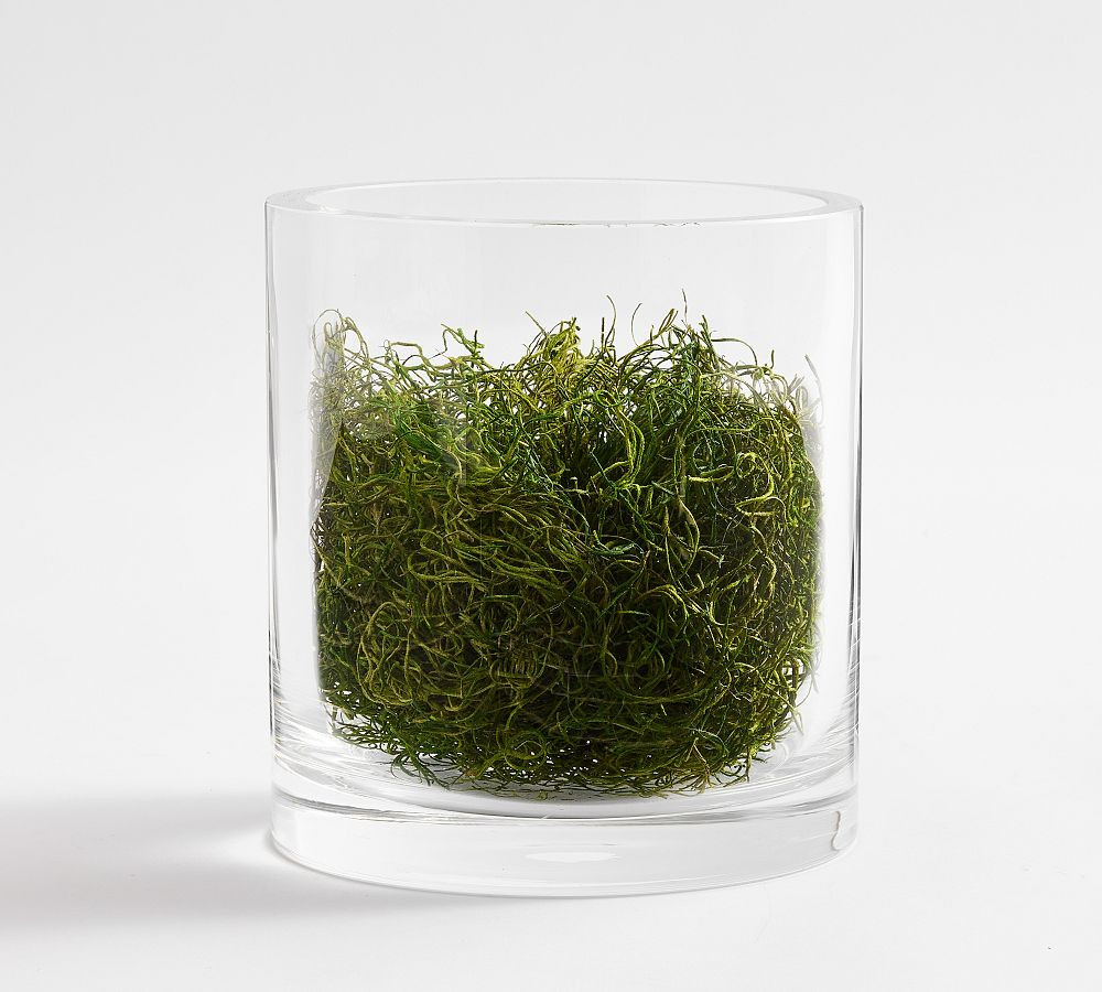 Reindeer Moss Vase Filler | Pottery Barn (US)