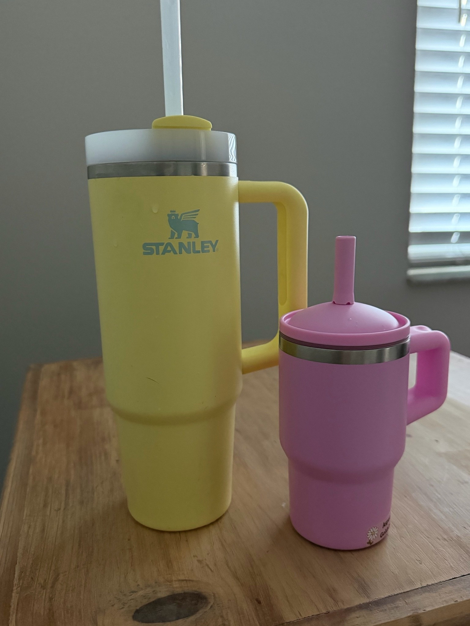 The perfect matching
 toddler water bottle!

#LTKBaby #LTKKids #LTKmomlife