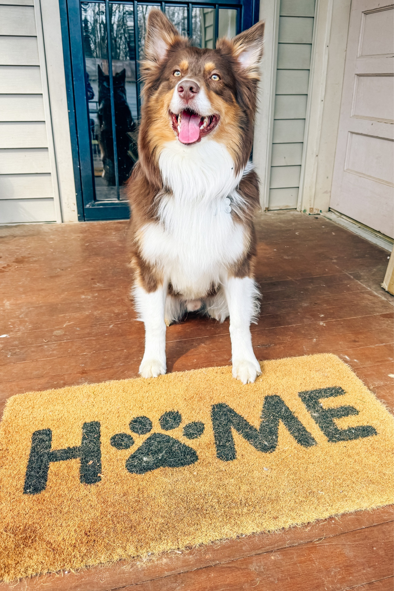 We love our little outdoor mat🐕🐾🦴

#LTKfindsunder50 #LTKhome #LTKfamily