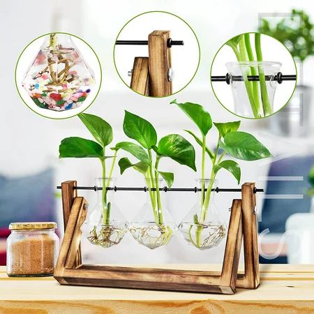 Diamond Plant Vase Desktop Plant Propagation Station with Swing Wooden Stand and Metal Rotating Rod  | Walmart (US)