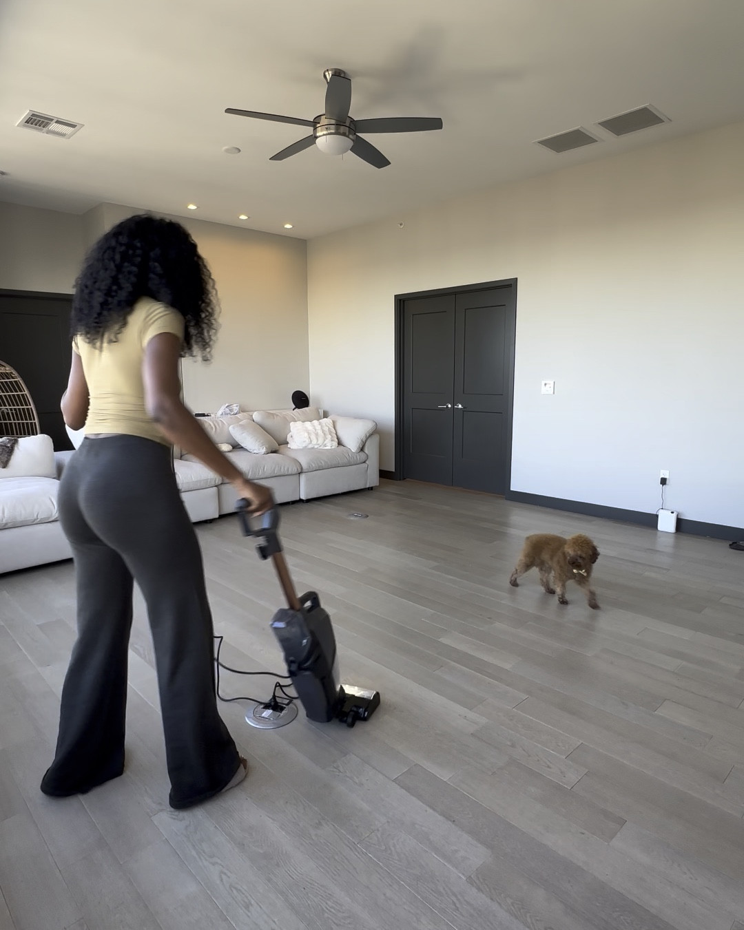 #LTKPets #LTKFamily #LTKHome