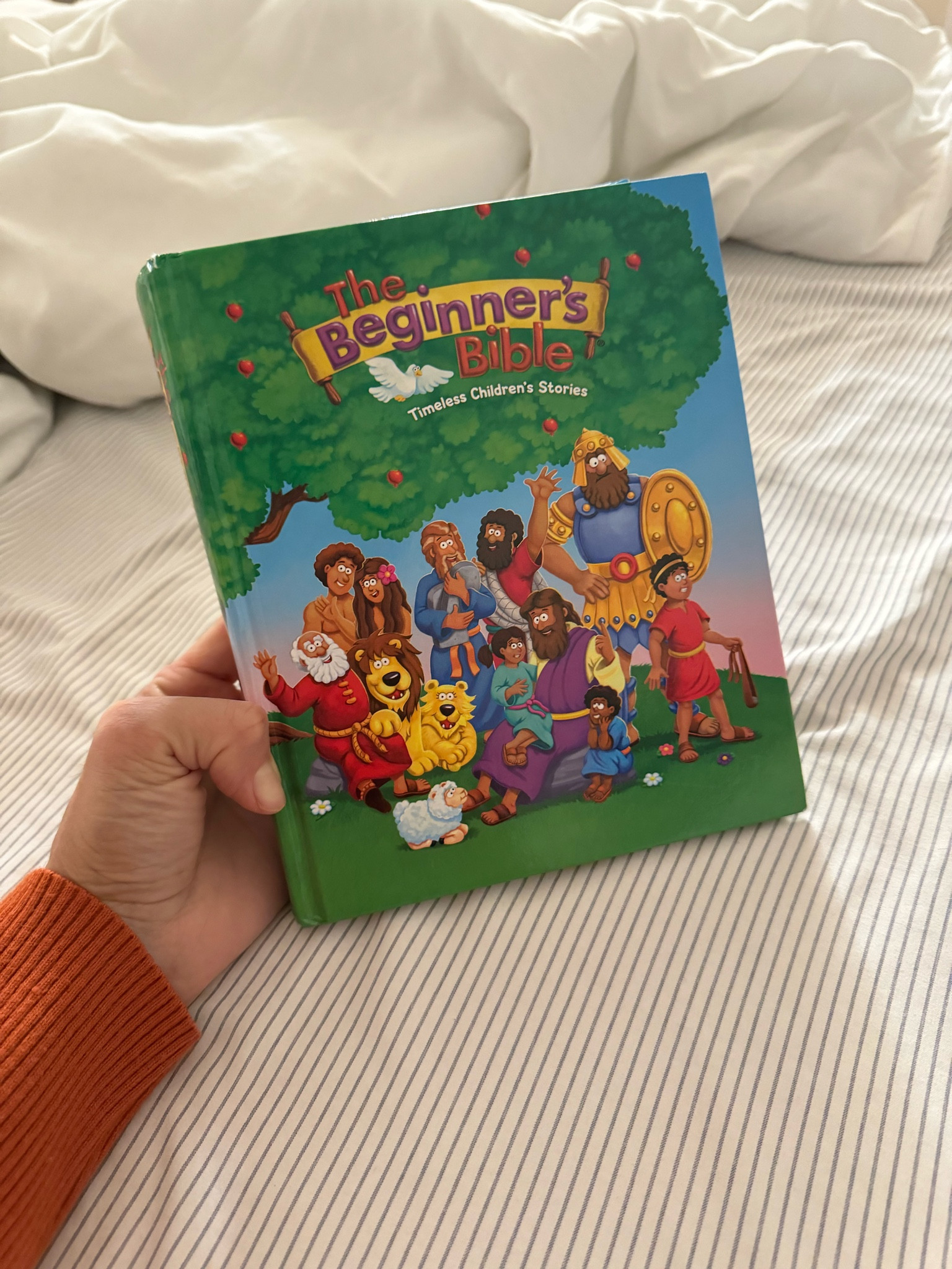 Anyone else have this when they were little? My sons are obsessed! 🥹🥰

#LTKFamily #LTKKids #LTKHome