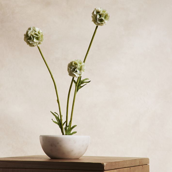 west elm | West Elm (US)