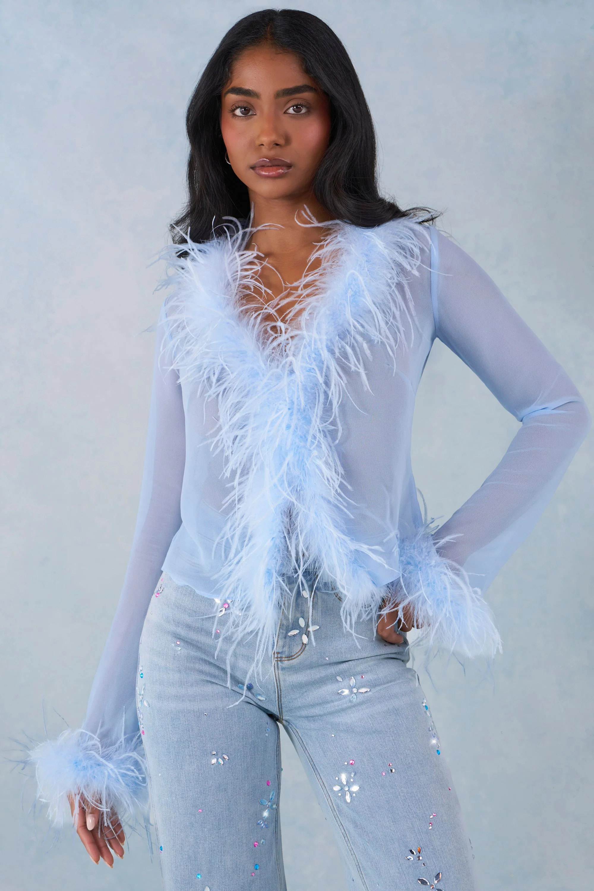 Faux Fur-Trim Sheer Top in Soft Blue | Oh Polly