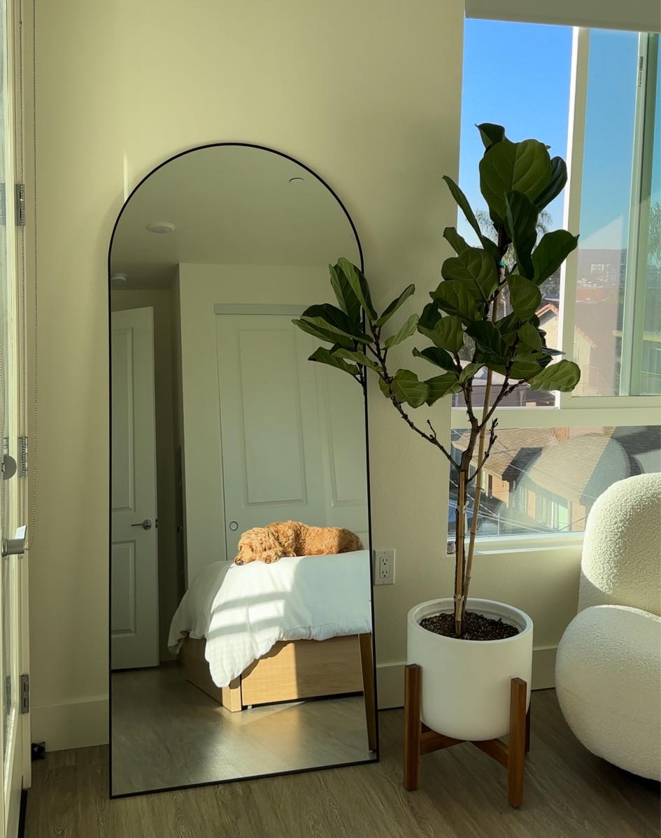 the best arched mirror! 

#LTKhome #LTKstyletip #LTKsalealert