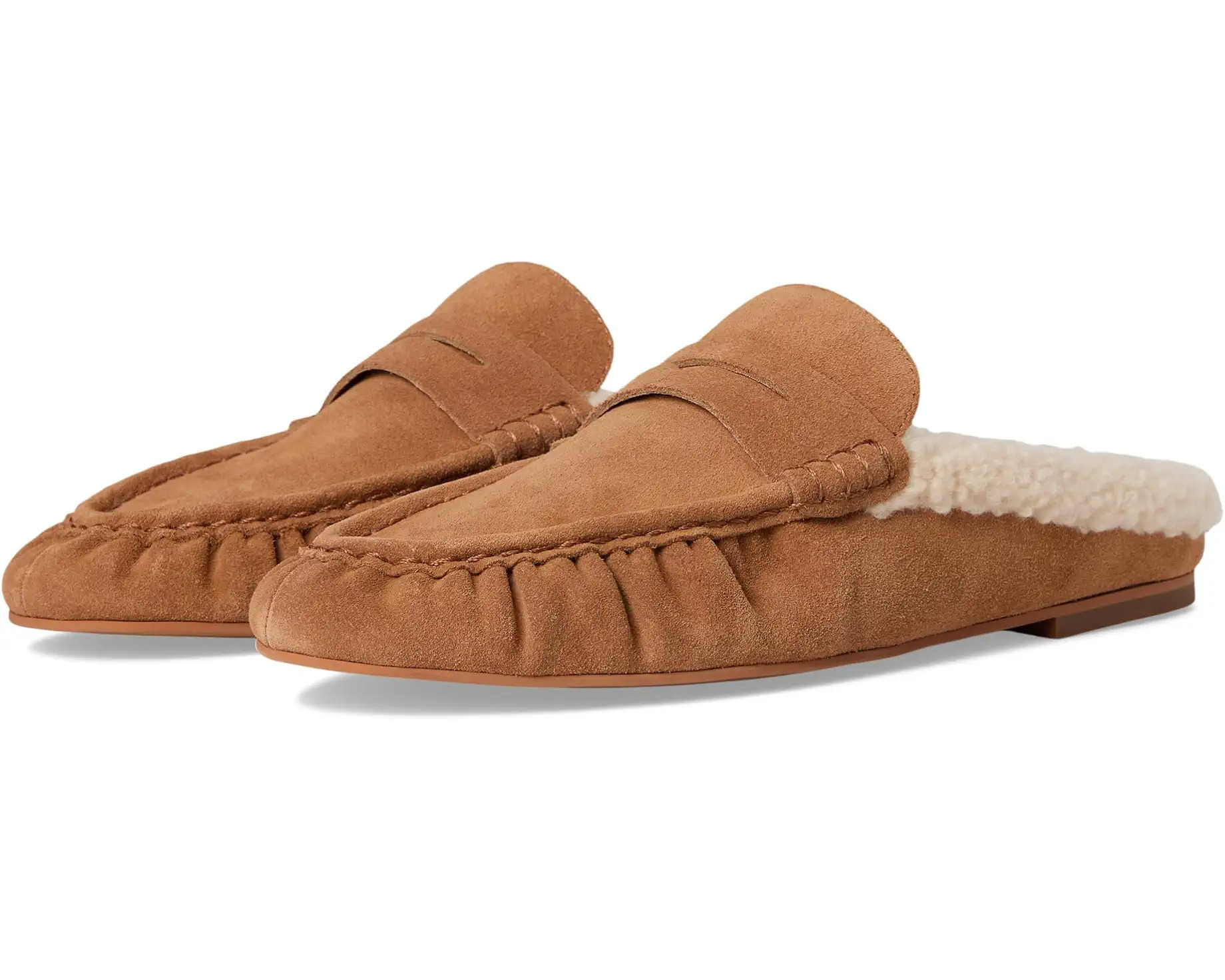 Women's Steve Madden Rafe | Zappos