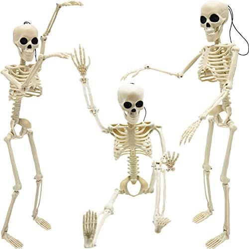 Halloween Skeleton Decorations, 16" Full Body Plastic Skeleton Posable Joints for Skeleton Halloween | Amazon (US)