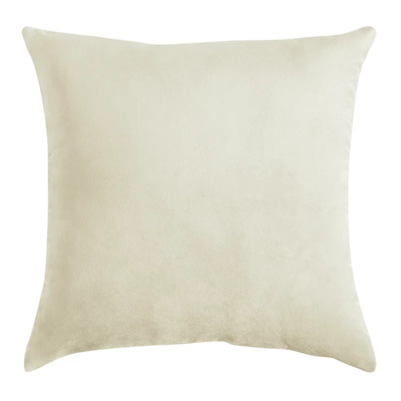 WARISI Square Velvet Pillow Cover and Insert & Reviews | Wayfair | Wayfair North America