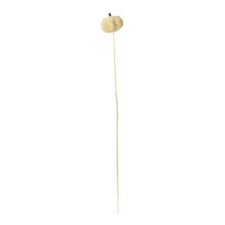 Worth Imports Bleached Coco Pumpkin on Stem (Set of 12) 3061 - The Home Depot | The Home Depot
