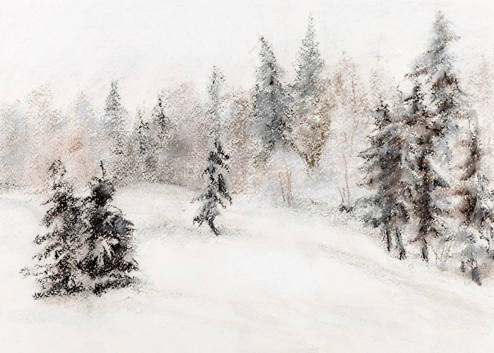 Frosted Forest | Collection Prints