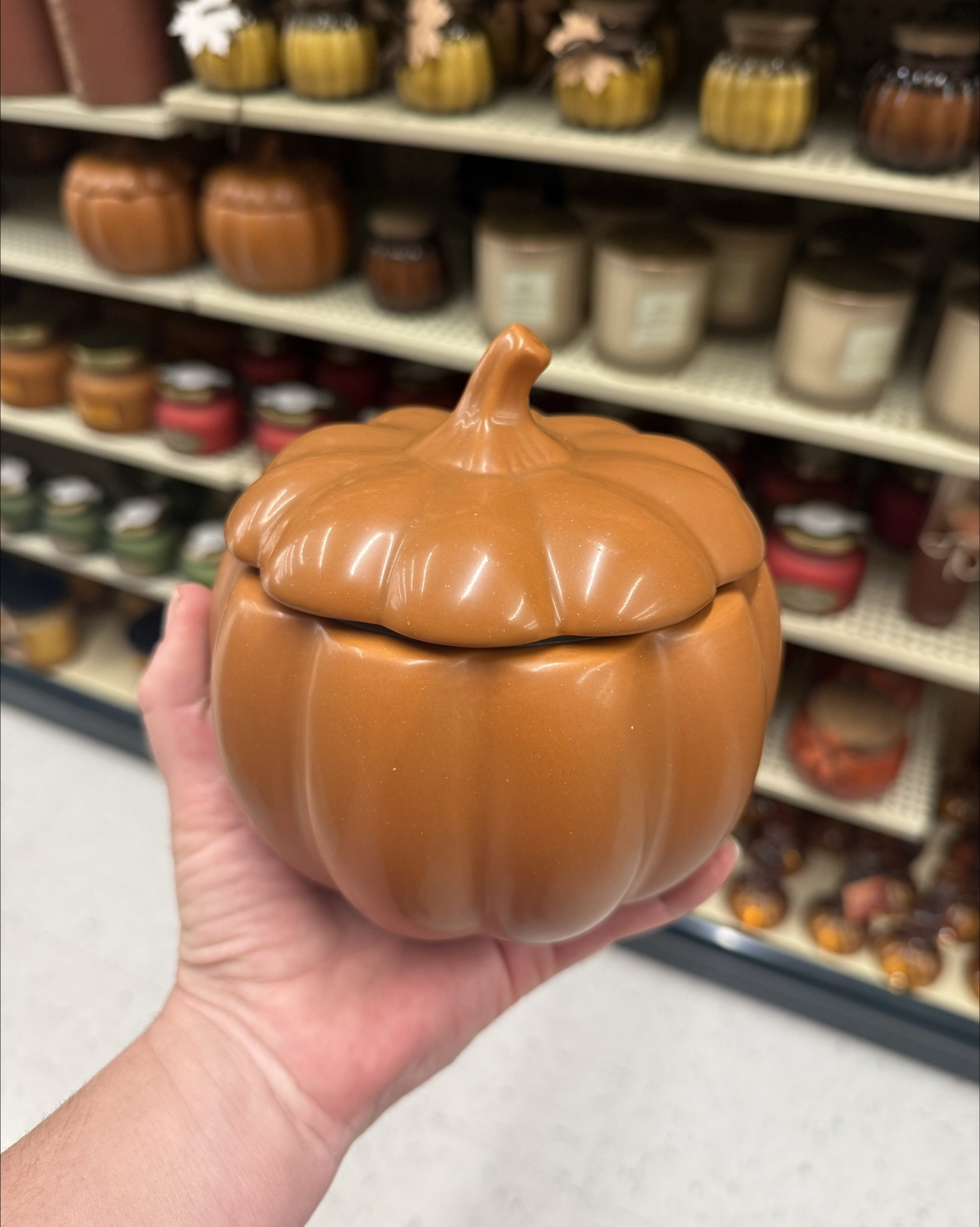 Run to Hobby Lobby for these viral finds! ✨
Can’t make it in-store? I linked all the popular look-alikes online so you don’t miss out!

#LTKSeasonal #LTKHome #LTKStyleTip