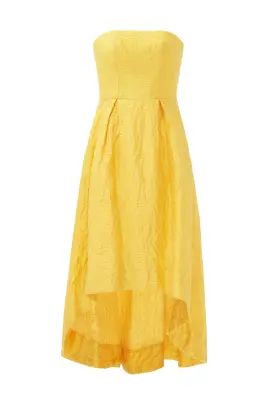 ML Monique Lhuillier Sunshine Day Gown | Rent The Runway